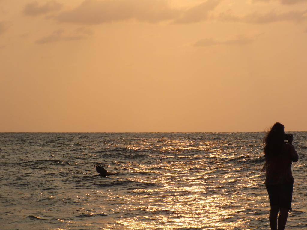 Thoms Beach Homestay Alappuzha Exteriér fotografie